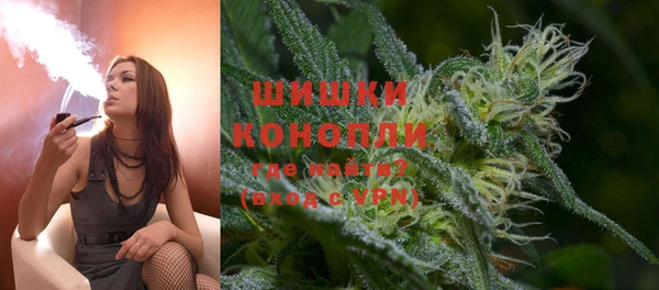 ГАЛЛЮЦИНОГЕННЫЕ ГРИБЫ Краснослободск