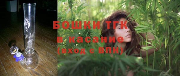 ГАЛЛЮЦИНОГЕННЫЕ ГРИБЫ Краснослободск