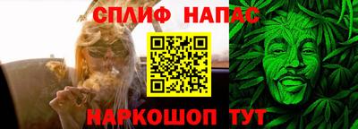 прущие грибы Комсомольск-на-Амуре