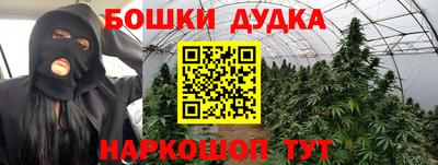 прущие грибы Комсомольск-на-Амуре