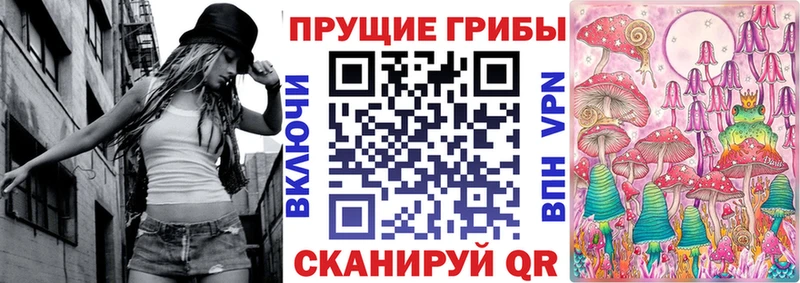 ссылка на мегу сайт  Комсомольск-на-Амуре  Псилоцибиновые грибы мицелий 