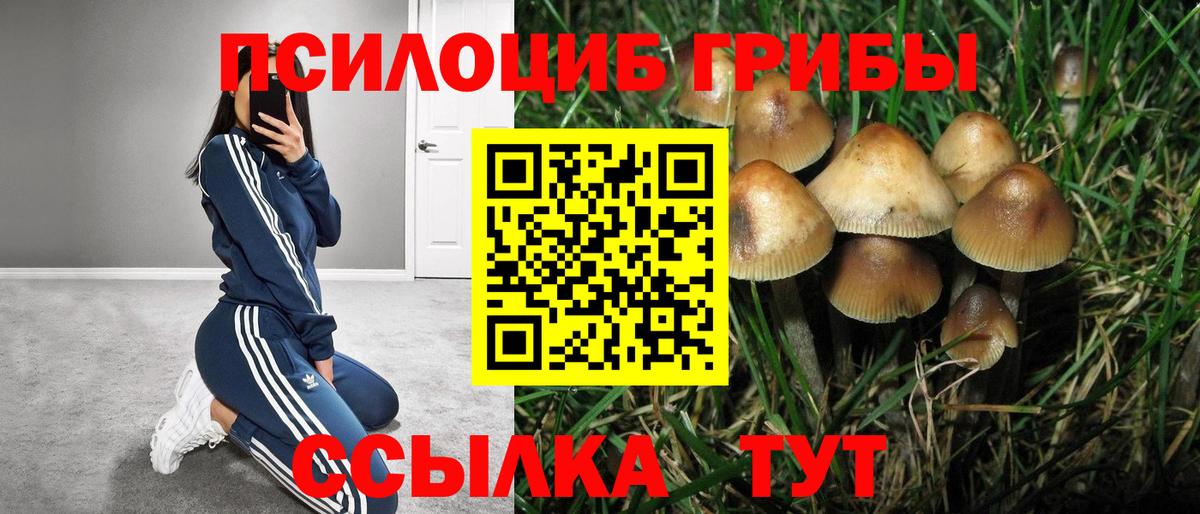 Псилоцибиновые грибы прущие грибы  Вход с VPN  где купить   Комсомольск-на-Амуре 